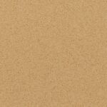 cambrian gold cambrian gold